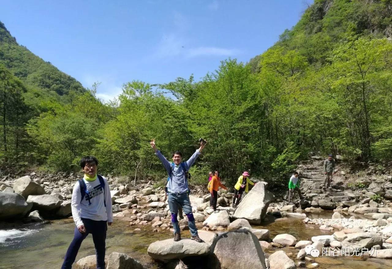 {賭波}(狼牙关电影在线观看完整版免费)